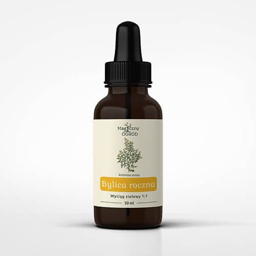 Bylica roczna Artemisia annua (wyciąg ziołowy 1:1), 50ml, Magiczny Ogród