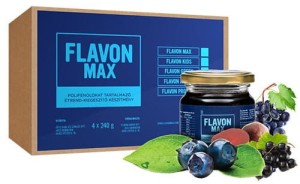 FLAVON MAX SuperPack 4x240g