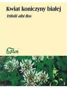 Kwiat koniczyny białej 50g Flos