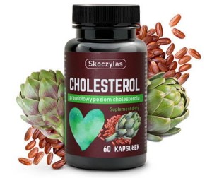 Cholesterol 60 kapsułek Skoczylas