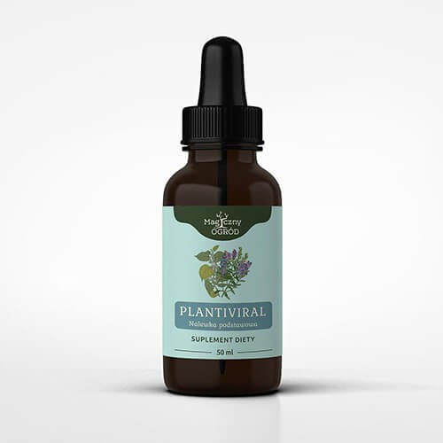 PLANTIVIRAL. Nalewka podstawowa według Buhnera, 50ml, Nanga
