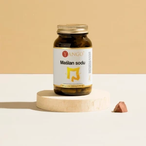 YANGO Maślan sodu otoczkowy 90kps. 490mg.