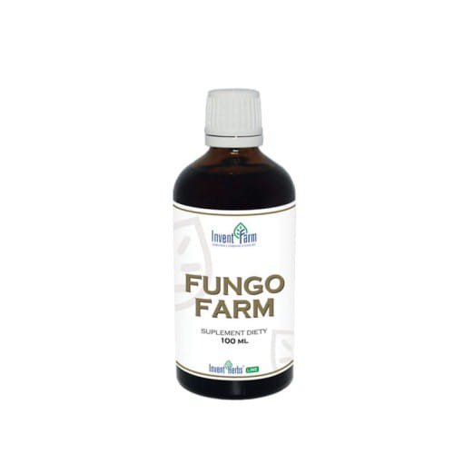 Fungo-Invent-plyn.jpg