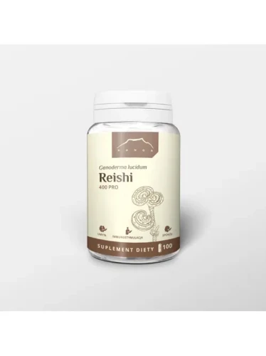 reishi.webp