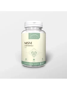 Nanga MSM z witaminą C 100kps.
