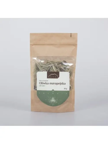 oliwka europejska liść cały.webp