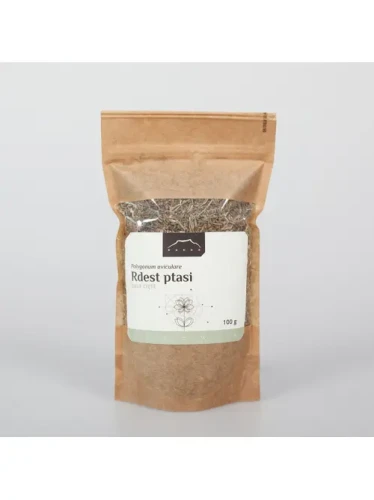 rdest ptasi 100.webp