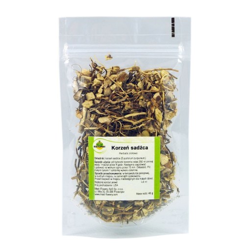 Korzeń sadźca 40g, herbatka ziołowa, Medi Flowery