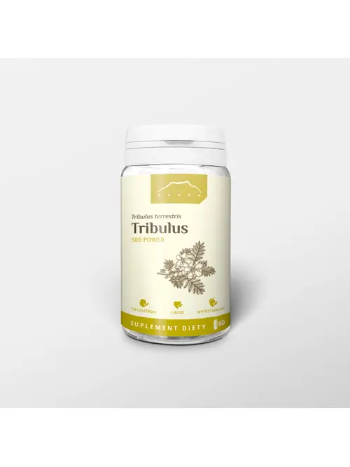 Tribulus.webp