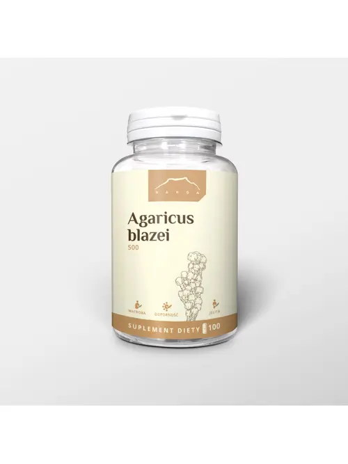 Agaricus blazei.webp
