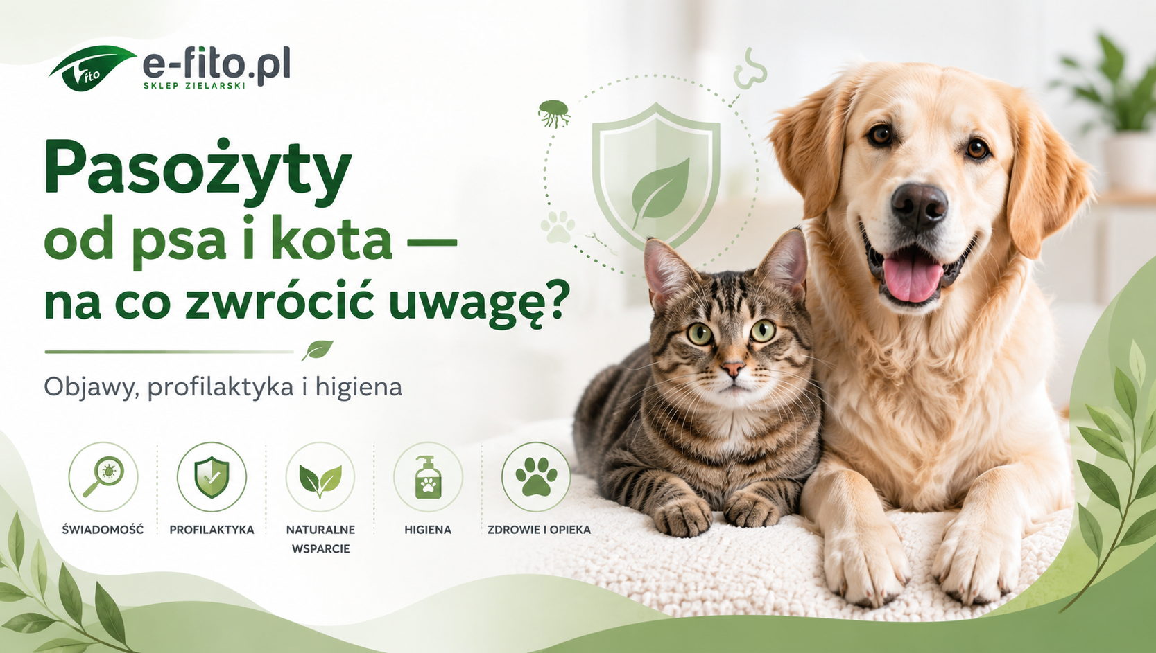 Pasożyty od psa i kota — na co zwrócić uwagę?