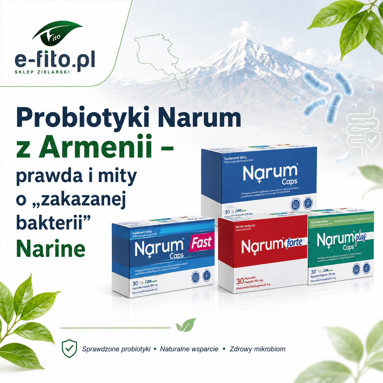 Probiotyki Narum z Armenii – prawda i mity o „zakazanej bakterii” Narine